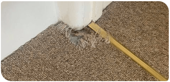 Carpet Repair Fitzroy